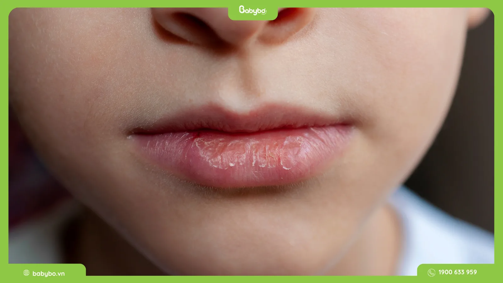 mua sáp dưỡng ẩm Babybơ ở đâu