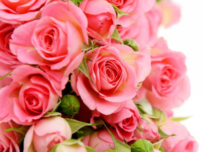 Поздравление с днем нотариата России!