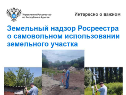 Земельный надзор Росреестра о самовольном использовании земельного участка