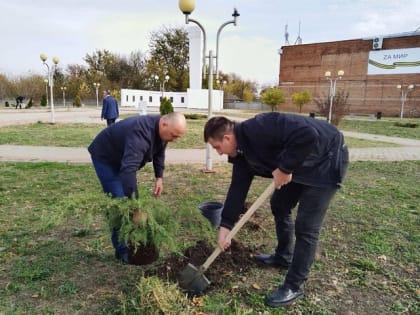 В последние годы озеленению и благоустройству сельских территорий уделяется все больше внимания со стороны руководства района