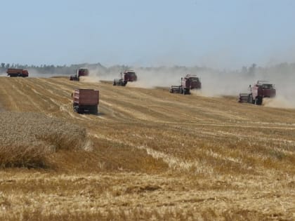 Власти: Российская Федерация не может экспортировать зерно из-за санкций