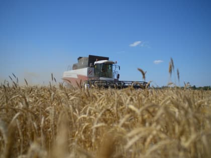 В Адыгее убрали половину площади озимых зерновых культур