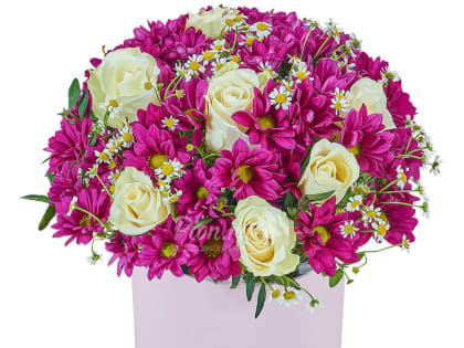 Поздравление с днем рождения!