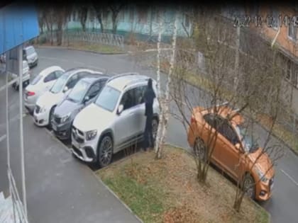 В Краснодаре задержан подозреваемый в 2 имущественных преступлениях