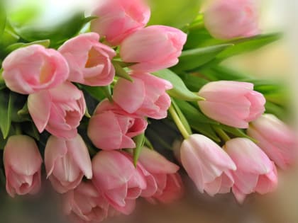 С международным женским Днем!