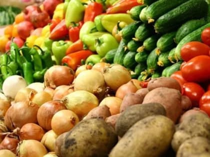 Пять ярмарок выходного дня проходят в Краснодаре 24 сентября