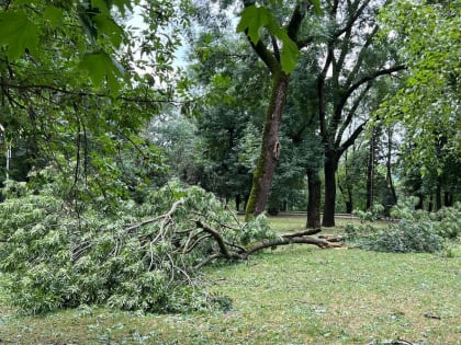 Глава Адыгеи дал поручение устранить все последствия стихии в кратчайшие сроки