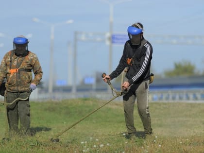 В ЦУР Адыгеи рассказали, как в Майкопе уничтожают сорняки