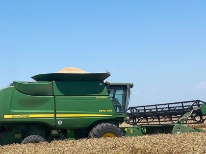 Уборка урожая — один из самых ответственных этапов в выращивании зерновых культур