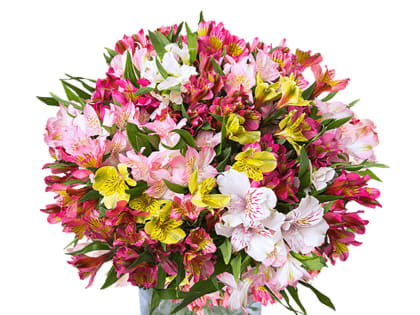 Поздравление с днем рождения!