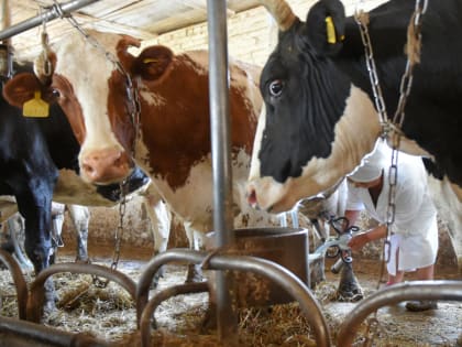 Объем господдержки фермеров в Адыгее вырос втрое