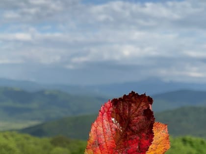 Похолодание в Адыгею принес антициклон