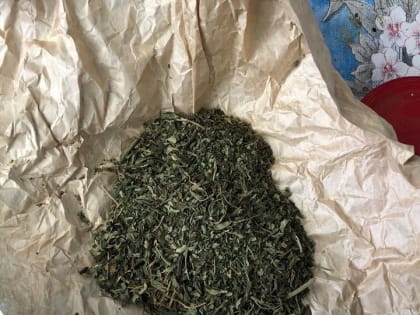 В Адыгее за минувшую неделю выявлено 7 новых наркопреступлений