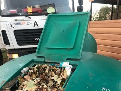 Регоператор Адыгеи призывает жителей не выбрасывать листву в мусорные баки
