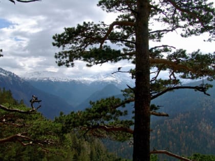 При создании курорта «Лагонаки» будут реализованы экопроекты