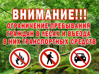 Телефон прямой линии лесной охраны
8-800-100-94-00 (ЗВОНОК БЕСПЛАТНЫЙ)