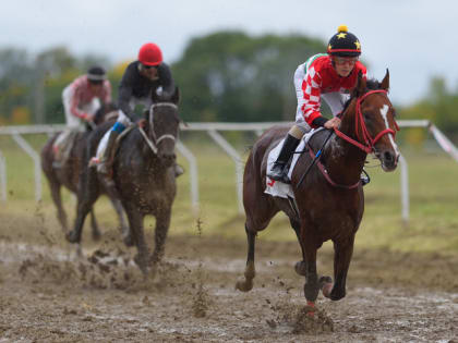 В Майкопе прошли скачки в честь 30-летия образования Республики Адыгея