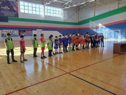 Мини-футбол