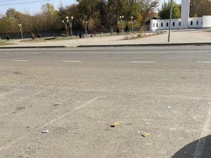 Практически каждое утро работников Информационного центра встречает такая картина