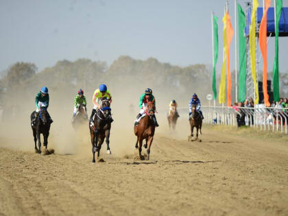 Приз главы Адыгеи — полмиллиона рублей на праздничных скачках снова завоевал конь Анзора Кубашичева
