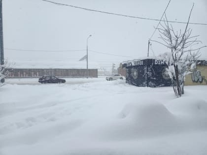 Около 30 сантиметров снега выпало в Краснодаре за ночь