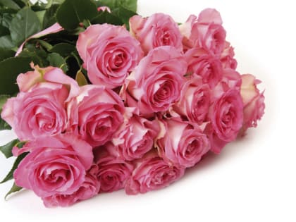 Поздравление с днем рождения!