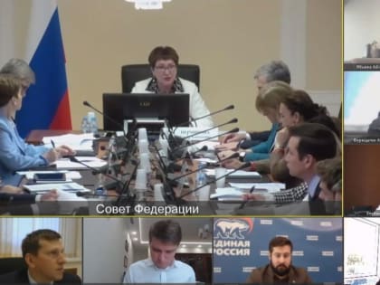 Члены Палаты молодых законодателей при Совете Федерации приняли участие в круглом столе на тему: «Дефицит рабочих кадров: пути решения»