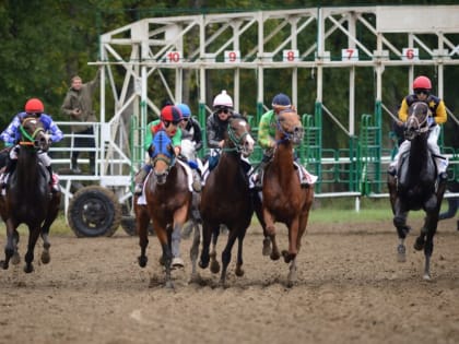 В регионе прошли скачки, посвященные столетию государственности Адыгеи