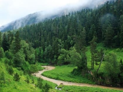 Кумпилов поздравил работников леса с профессиональным праздником