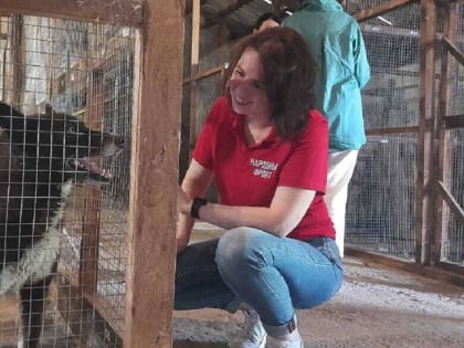 В Адыгее проверили исполнение закона о безнадзорных животных