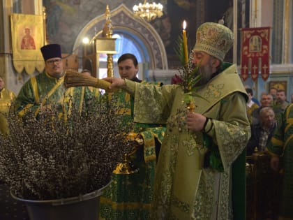 В Майкопской и Адыгейской епархии рассказали о праздновании Вербного воскресенья