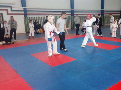 Состоялся турнир по всестилевому каратэ.