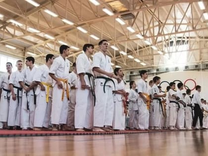 Всероссийский фестиваль по киокушин «Кубок Шихана» пройдёт в Краснодаре