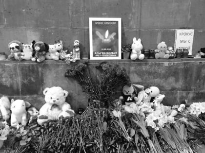 Росмолодежь: По всей России проходит акция 