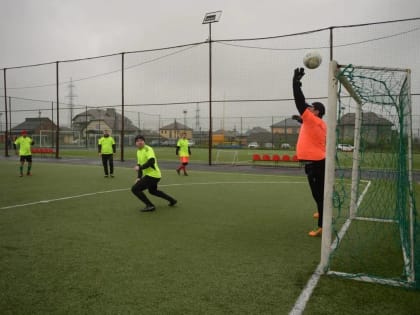 Депутаты и работники аппарата регионального парламента приняли участие в спартакиаде органов власти