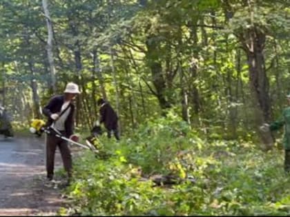 В лесопарковой зоне Майкопа прошёл масштабный субботник