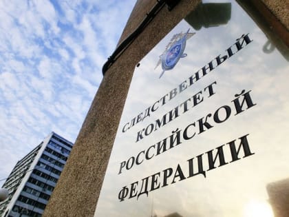 Бастрыкин дал ряд поручений по информации о происшествиях с несовершеннолетними