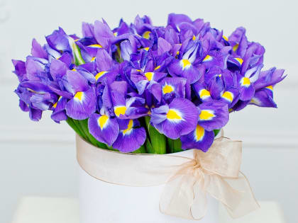 Поздравление с днем рождения!