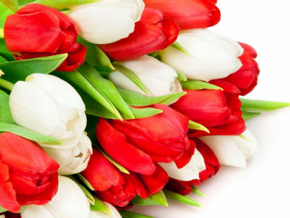 Поздравление с днем рождения!