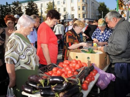 Специалисты рассказали, как получить здоровый урожай овощных культур