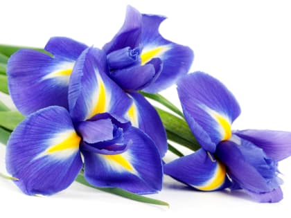 Поздравление с днем рождения!