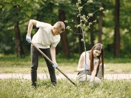 Адыгея примет участие во всероссийской акции «Сохрани лес»
