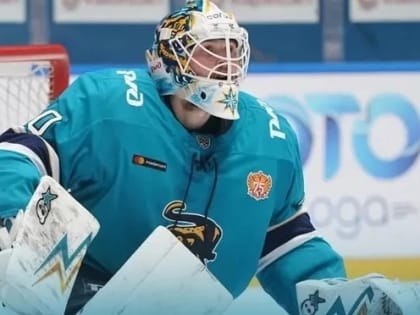 Третьяк сыграет 1 и 2 мая в матчах против хоккейной сборной Белоруссии