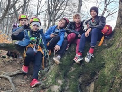 Показали свои способности