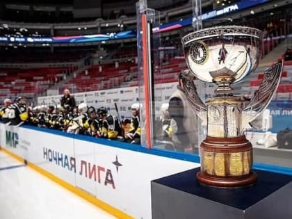 В Сочи в рамках фестиваля Ночной хоккейной лиги будет сыгран гала-матч