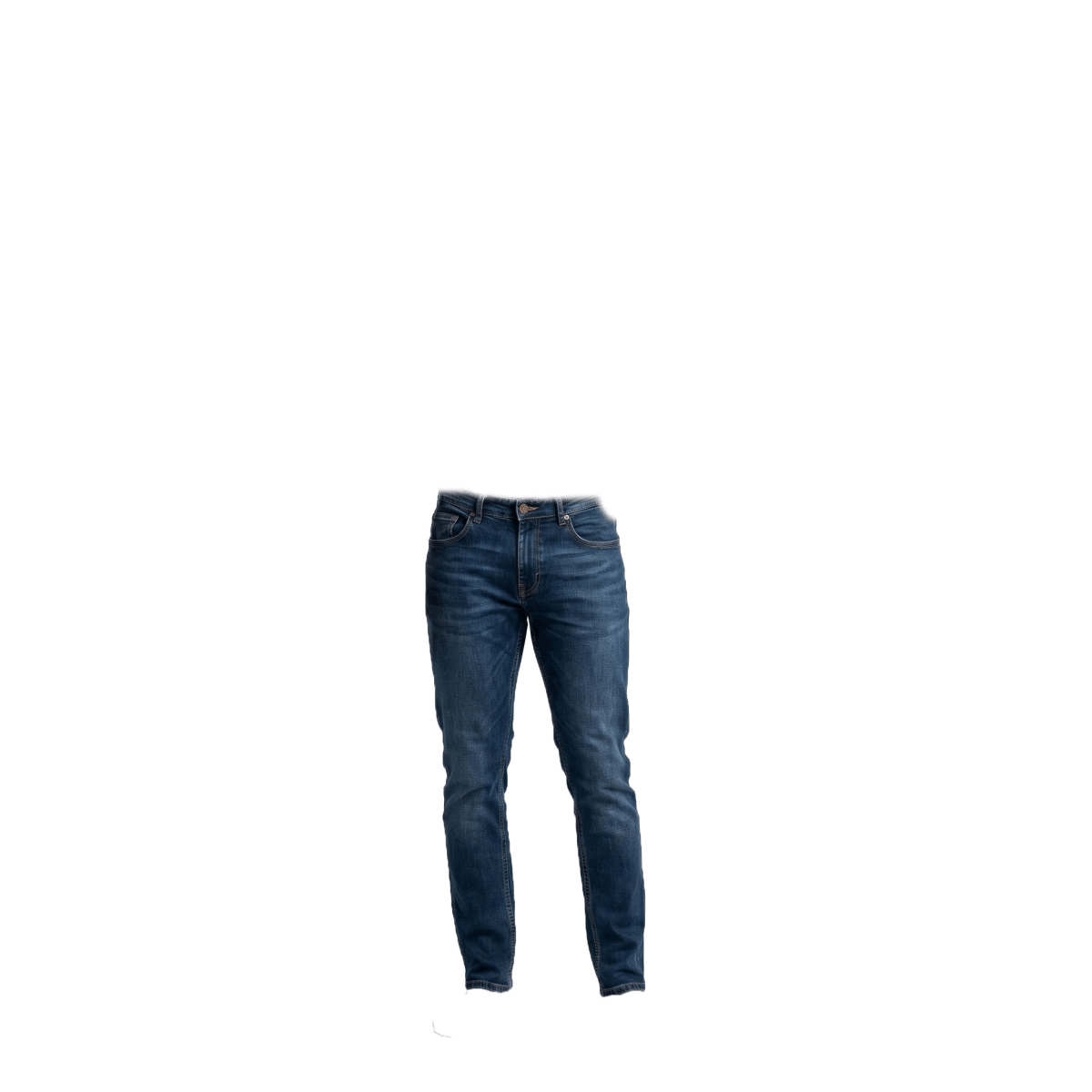 companion_bottom