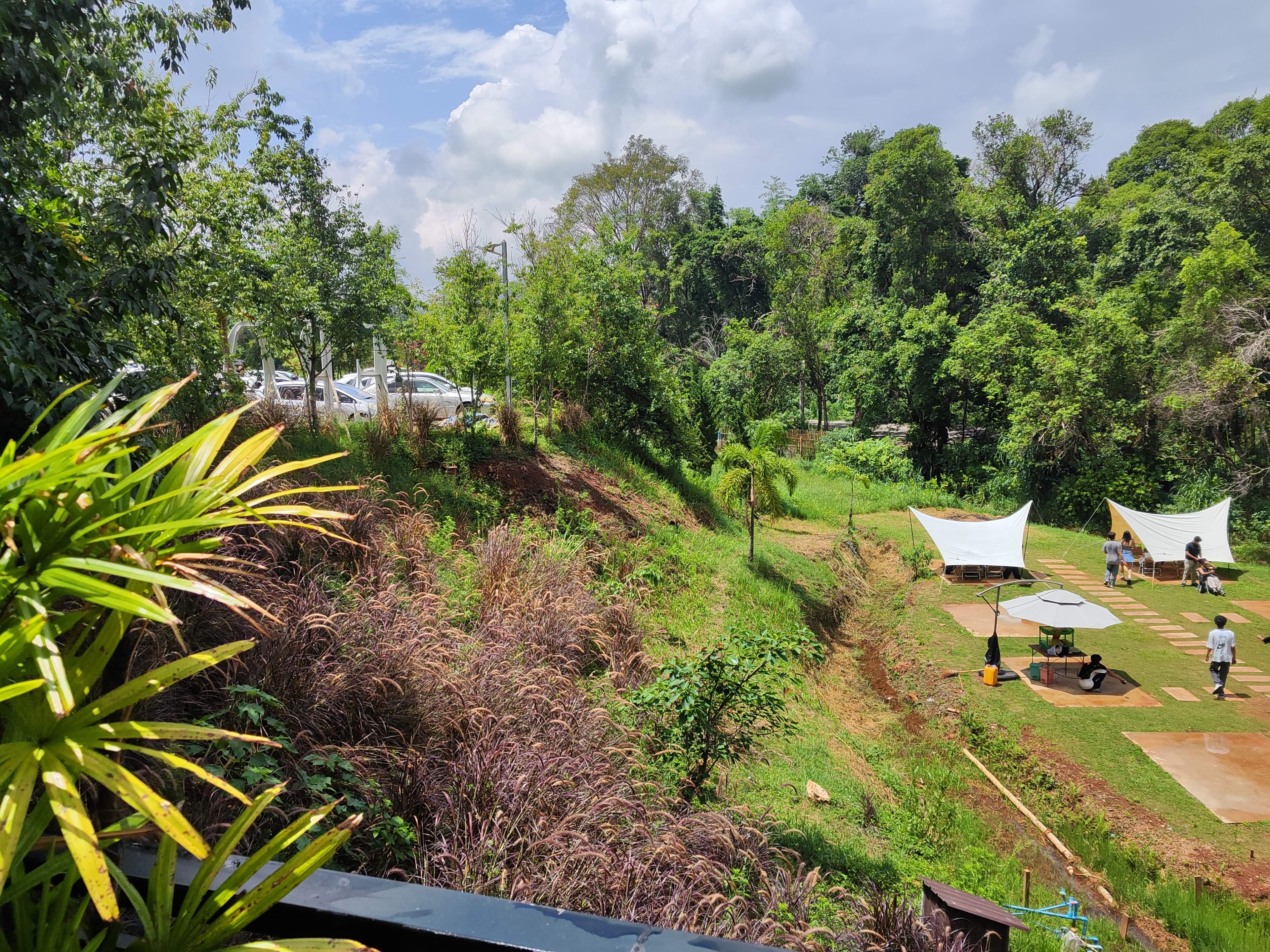 Hillside outdoor cafe with white tents