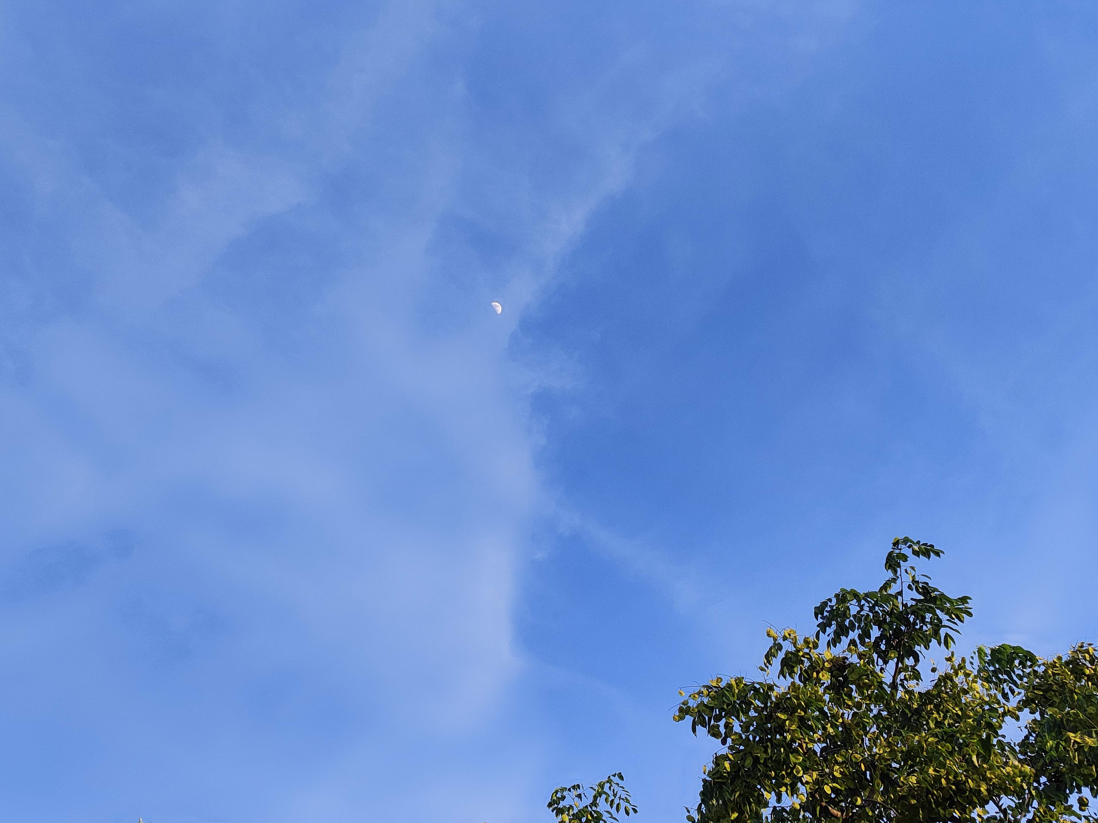 crescent_moon_in_the_blue_afternoon_sky