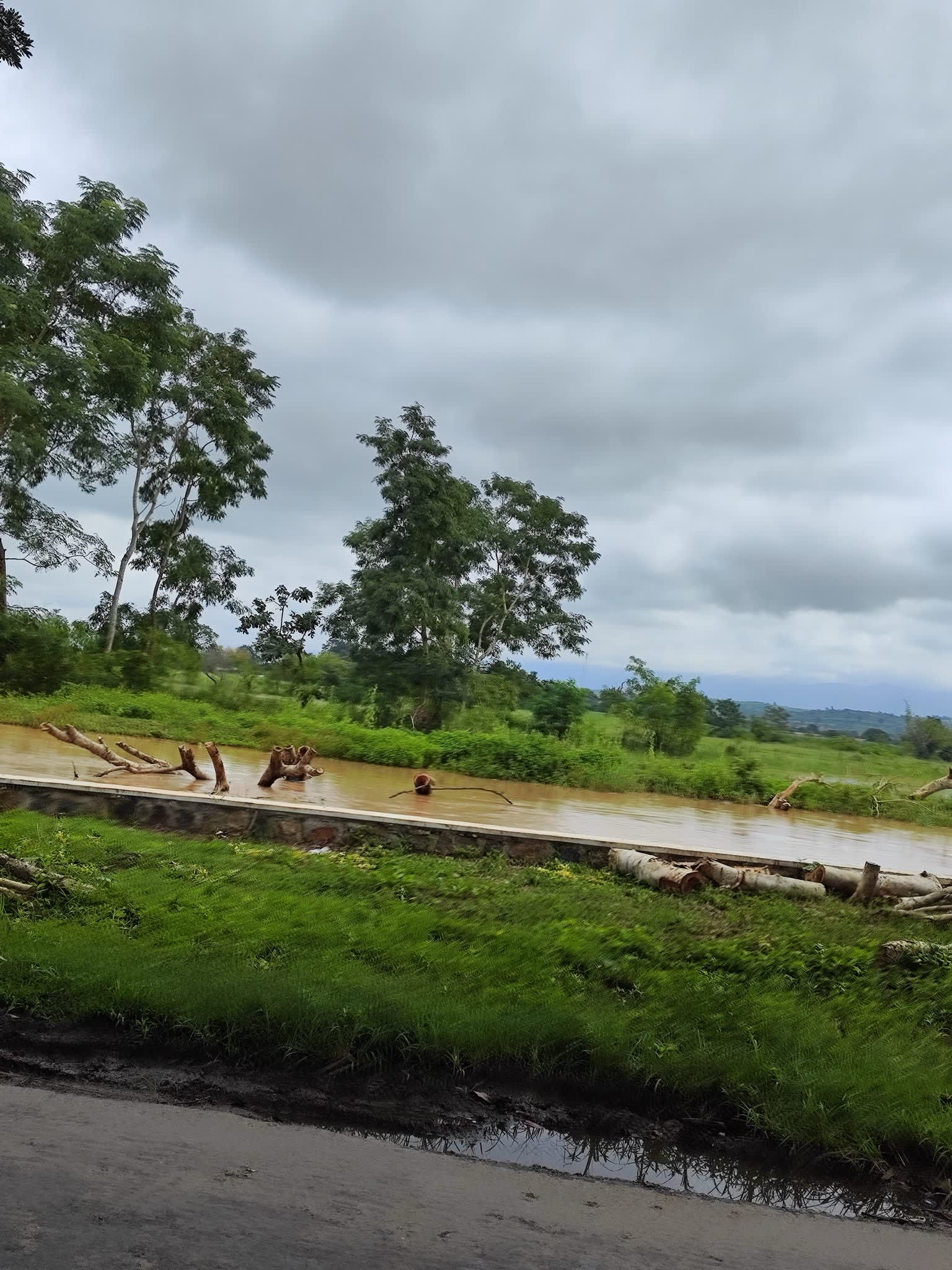 flooded_river_with_fallen_tree