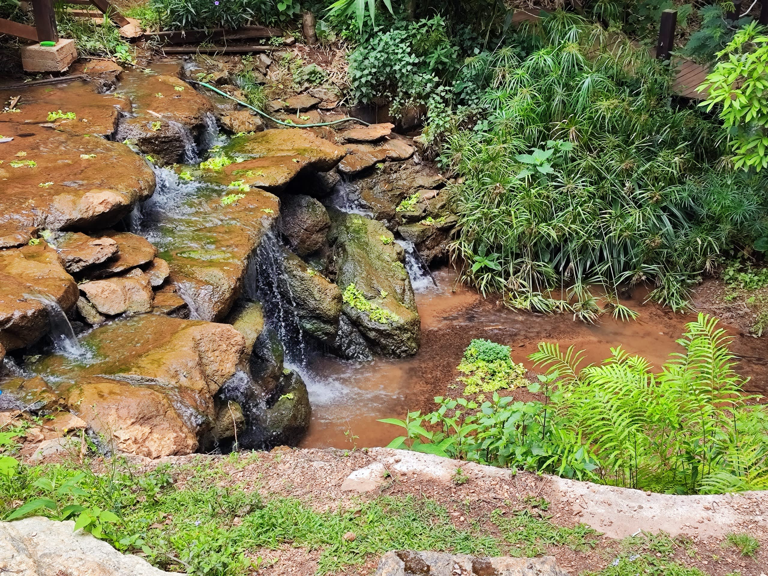 rocky_waterfall_stream_in_the_woods